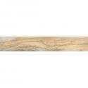 Milloni Birch